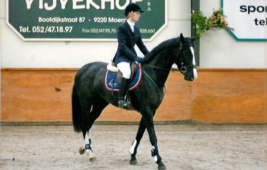 Finale Golden Horse Trophy